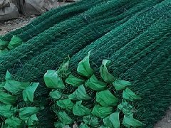 一.篩.濾網(wǎng)系列，乙烯網(wǎng)